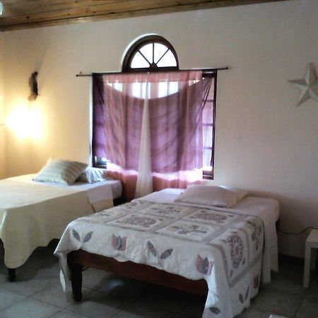 Dolphin Bay Yoga Guest House Drapers Eksteriør billede
