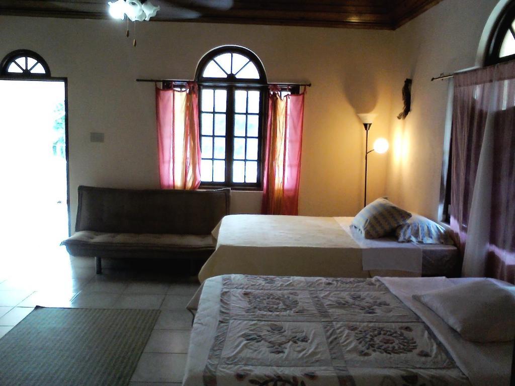 Dolphin Bay Yoga Guest House Drapers Værelse billede