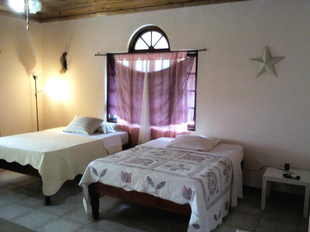 Dolphin Bay Yoga Guest House Drapers Eksteriør billede