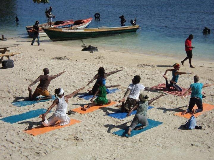 Dolphin Bay Yoga Guest House Drapers Eksteriør billede